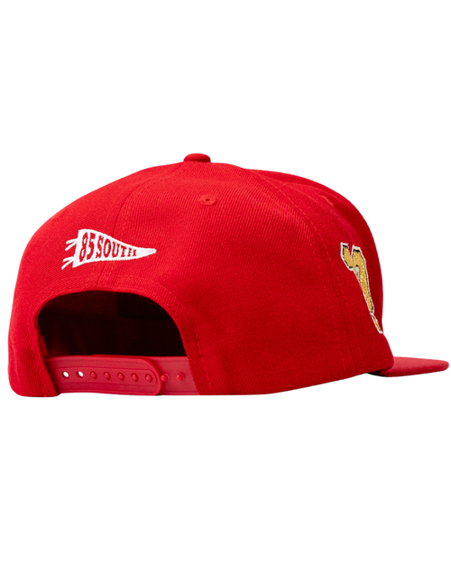 "10th Anniversary" South Tomahawk Snapback Hat (Red)